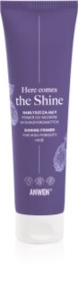Anwen Here Comes The Shine Shining Primer For High Porosity Hair baza pod makijaż do włosów 100 ml