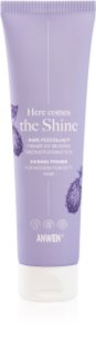 Anwen Here Comes The Shine Shining Primer For Medium Porosity Hair baza pod makijaż do włosów 100 ml