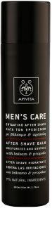 Apivita Men's Care After Shave borotválkozás utáni balzsam 100 ml