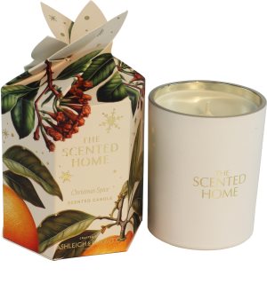 Ashleigh & Burwood London The Scented Home Christmas Spice vonná svíčka 170 g