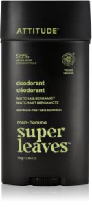 Attitude Super Leaves Men Deodorant Deodorant