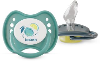 Baboo Soothers Silicone Orthodontic with Case dummy Lagoon Fiesta 6-12 m 2 pc
