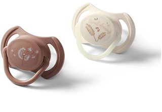 BabyOno Take Care Symmetrical Silicone Soothers duda Day & Night 18m+ 2 kom