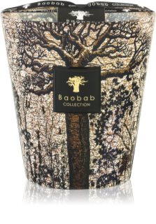 Baobab Collection Sacred Trees Morondo lumânare parfumată 16 cm