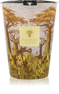Baobab Collection Sacred Trees Cocody scented candle