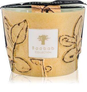 Baobab Collection Folia Garrigue Duftkerze