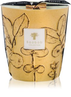 Baobab Collection Folia Garrigue vonná svíčka