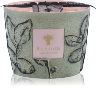 Baobab Collection Folia Maquis Duftkerze