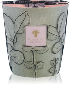 Baobab Collection Folia Maquis dišeča sveča
