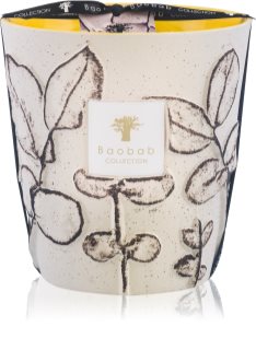 Baobab Collection Folia Calanque bougie parfumée