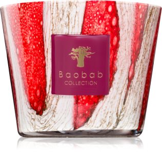 Baobab Collection Woods Risoud vonná svíčka 500 g