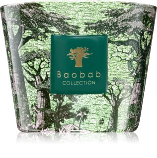 Baobab Collection Sacred Trees Touba Duftkerze 500 g