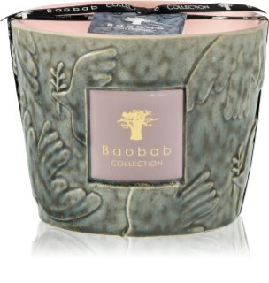 Baobab Collection Paz Colombe kvapioji žvakė