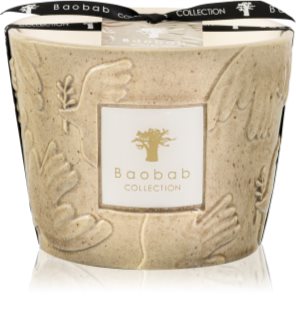 Baobab Collection Paz Paloma kvapioji žvakė