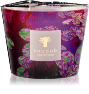 Baobab Collection Arty Flowers Water Lily aromatizēta svece