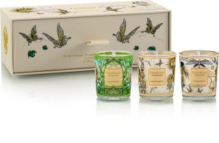 Baobab Collection Tomorrowland Geschenkset 1 St.