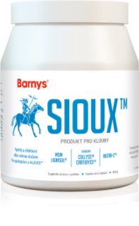 Barny's MSM Sioux prášek pro výživu kloubů a chrupavek 600 g