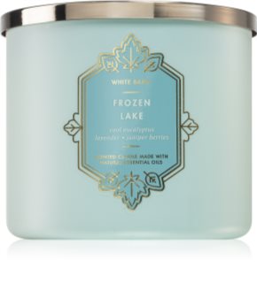 Bath & Body Works Frozen Lake αρωματικό κερί 411 γρ