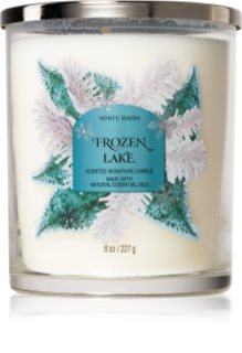 Bath & Body Works Frozen Lake candela profumata 227 g