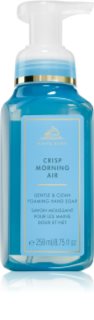 Bath & Body Works Crisp Morning Air savon liquide mains 259 ml
