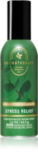 Bath & Body Works Eucalyptus parfum d'ambiance 42.5 g