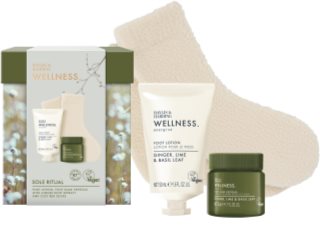 Baylis & Harding Wellness. Energise Geschenkset für Füssen