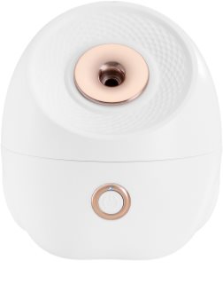 Beautifly SkinMist Pro sauna til ansigt 1 stk.