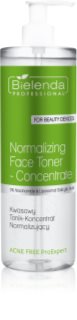 Bielenda Professional Acne Free ProExpert Lindrande toner För hud med bristningar 500 ml