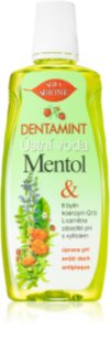 Bione Cosmetics Dentamint Menthol Mundspülung 500 ml
