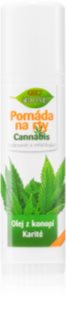 Bione Cosmetics Cannabis pomada para lábios 17 ml