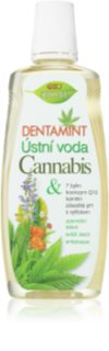 Bione Cosmetics Dentamint Cannabis Mundspülung 500 ml