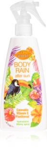 Bione Cosmetics Bio Sun after-sun spray with moisturising effect 260 ml