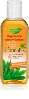 Bione Cosmetics Cannabis αναγεννητικό σαμπουάν