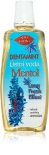 Bione Cosmetics Dentamint Menthol Mundspülung 500 ml