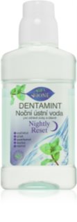 Bione Cosmetics Dentamint Nightly Reset Mundspülung für die Nacht 265 ml