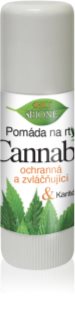 Bione Cosmetics Cannabis pomáda na pery 11 ml