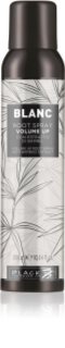 Black Professional Line Line Volume Up Root Spray Volymspray för fint hår 300 ml