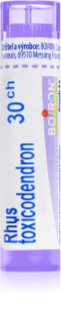 Boiron Rhus Toxicodendron 30CH granule 4 g