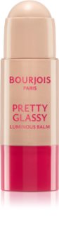 Bourjois Pretty Glassy multifunkcionalni highlighter nijansa 02 Pure Glass 5 g