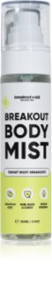 breakout + aid Body Mist kūno purškiklis nuo aknės 100 ml