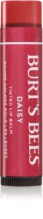 Burt’s Bees Tinted Lip Balm Lippenbalsam Farbton Daisy 4.25 g
