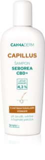 Cannaderm Capillus Seborea CBD+ Shampoo Shampoo for dandruff 150 ml