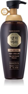 DAENG GI MEO RI New Gold Special Shampoo posilující šampon pro mastné vlasy 500 ml
