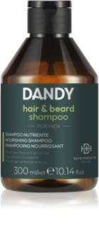 DANDY Beard & Hair Shampoo champú para el cabello y la barba 300 ml