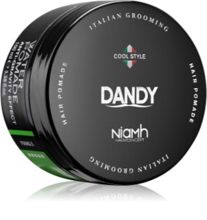 DANDY Water Pomade Anti-Gravity Effect pomáda na vlasy se silným zpevněním 100 ml