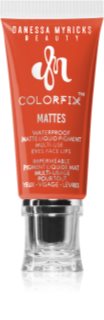 Danessa Myricks Beauty Colorfix Mattes multifunkčné líčidlo na oči, pery a tvár odtieň Carrot Cake 10 ml