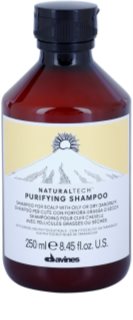 Davines Naturaltech Purifying Shampoo champú limpiador anticaspa 250 ml