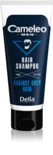 Delia Cosmetics Cameleo Men Shampoo gegen das Ergrauen dunkler Haare 150 ml