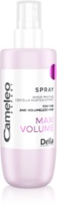 Delia Cosmetics Cameleo Expert Maxi Volume Spray Haarspray für maximales Haarvolumen 150 ml