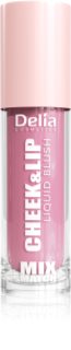 Delia Cosmetics Mix&Match Cheek & Lip Liquid Blush Vloeibare Blush voor LIppen en Wangen Tint 04 4 ml